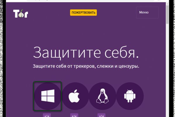 Гидра и кракен