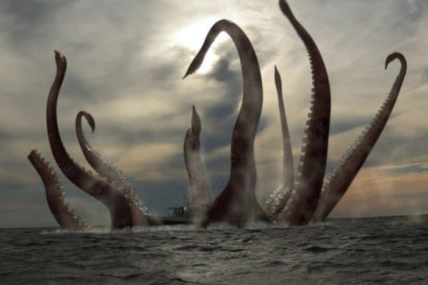 Kraken ltd
