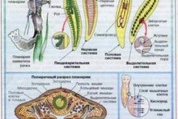 Удалился аккаунт кракен
